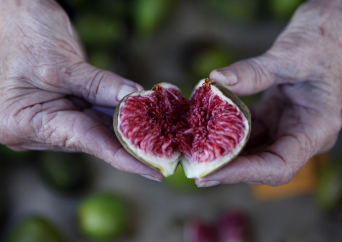 Fresh figs at the Orange Farmers Market, Country NSW