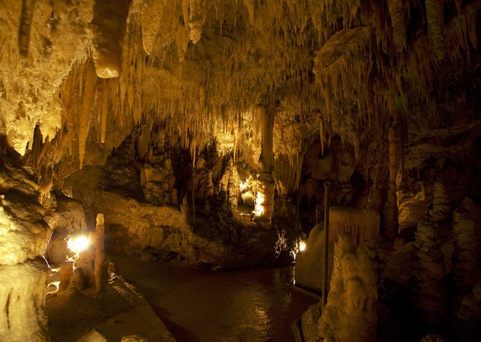 Yarrangobilly Caves - Kosciuszko National Park - Snowy Mountains