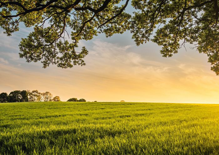 Hidden Valley Farms, Goulburn - Credit: Hidden Valley Farms Hidden Valley Farms at sunrise, Goulburn