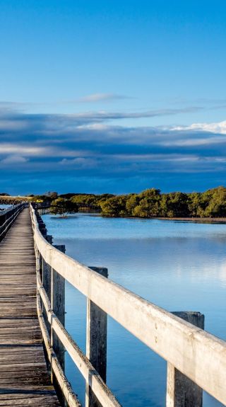 Urunga Boardwalk, Coffs Coast