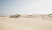 Stockton Sand Dunes - Port Stephens