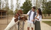 Couple meeting the resident farm animals at Heifer Station in Orange, Country NSW