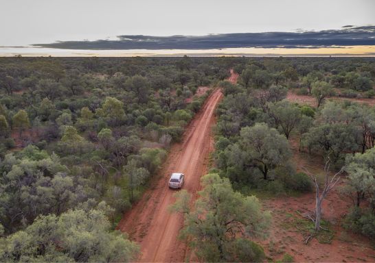Car on a scenic drive through the red outback in Gundabooka National Park, south of Bourke