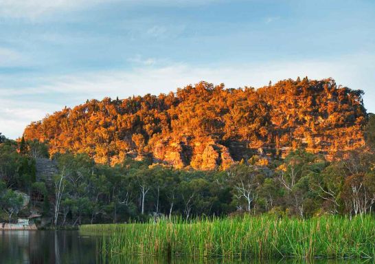 Dunns Swamp, Ganguddy campground, Wollemi National Park - Credit: Ingo Oeland